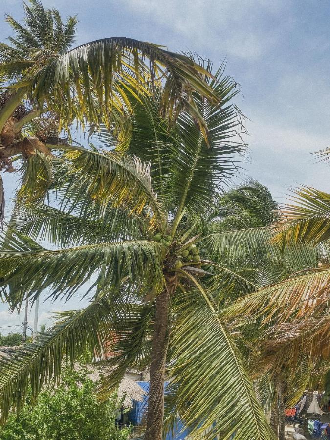 Mamallena Beachside Rincon Del Mar Exterior foto